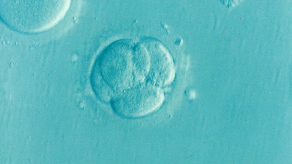 Infertility definition